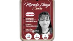 ¿Quién es Marisela Zúñiga Cerón, conoce a la próxima diputada?