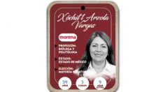 ¿Quién es Xóchitl Arzola Vargas? Diputada por Mayoría Relativa de Morena