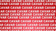 El 91% fracasó al buscar la palabra «CAVIAR» en el acertijo visual para BRILLANTES