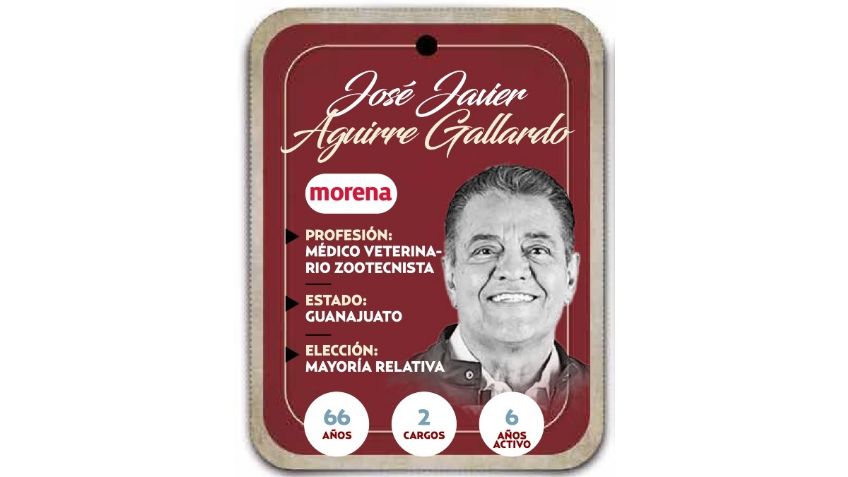 ¿Quién es José Javier Aguirre Gallardo? Diputado por Mayoría Relativa de Morena