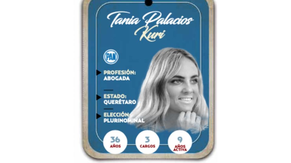 Tania Palacios Kuri será diputada por el PAN en la LXVI Legislatura.