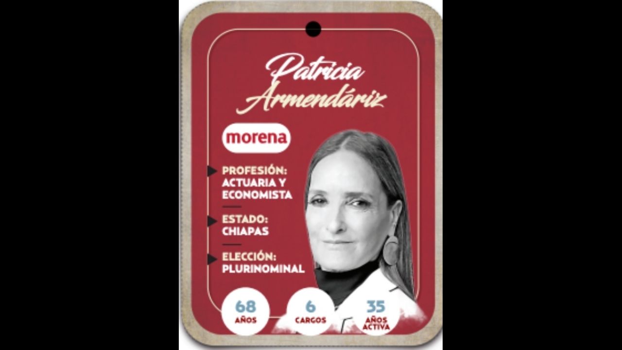 ¿quién Es Patricia Armendáriz Guerra Conoce A La Próxima Diputada