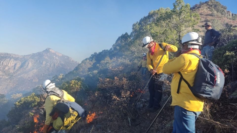 El gobierno del Estado ha invertido $10 millones de pesos en el Programa de Incendios Forestales.