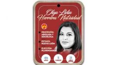 ¿Quién es Olga Herrera Natividad? Diputada por Representación Proporcional del PT