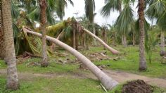 ¡Ciclón tropical se acerca a México! Estados que afectará este miércoles 31 de julio | MAPA