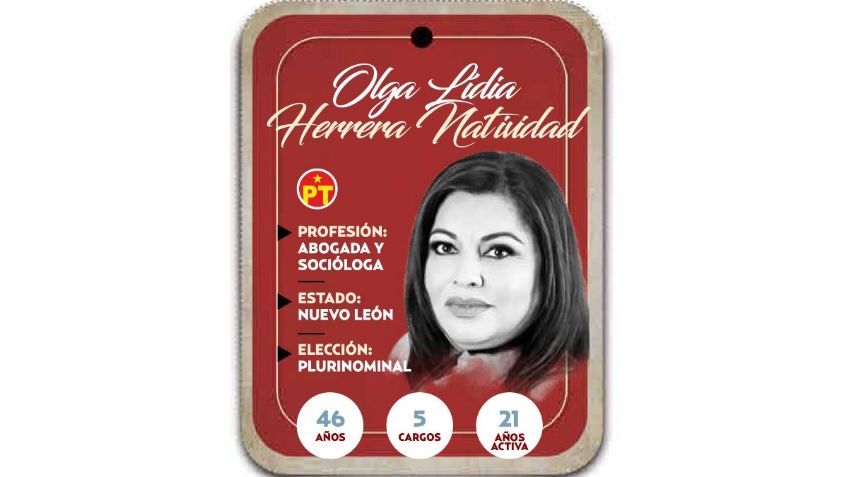 ¿Quién es Olga Herrera Natividad? Diputada por Representación Proporcional del PT