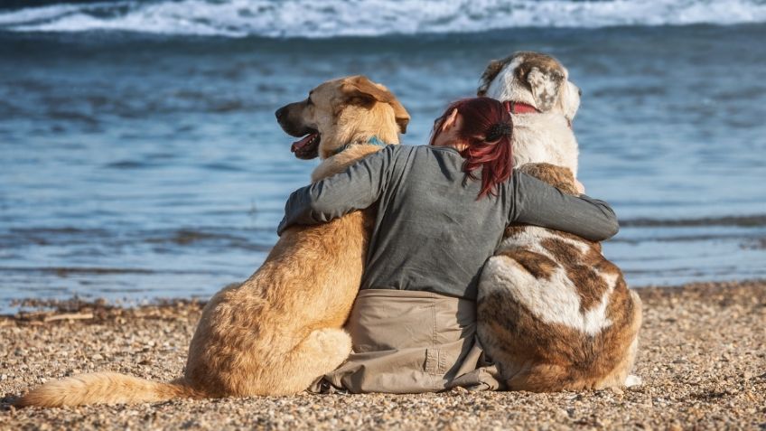 Día Internacional de la Amistad: 3 consejos básicos para incrementar la relación con tu perro