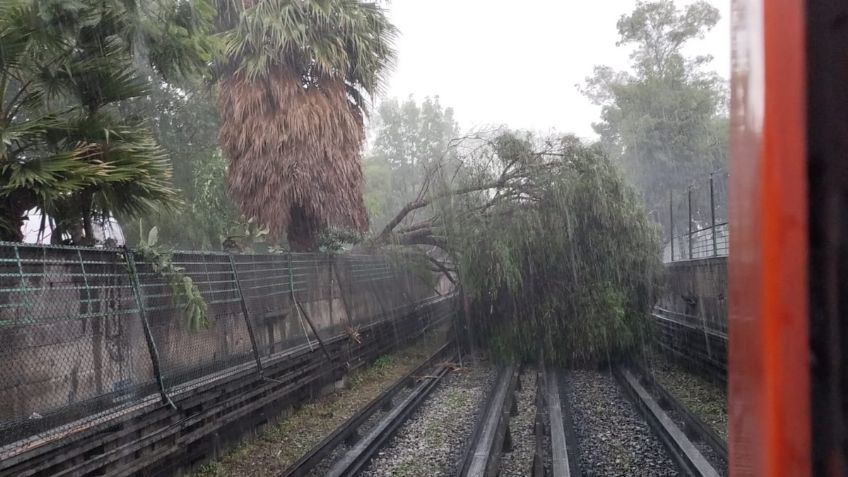 Línea 5 del metro CDMX suspende servicio por caída de un árbol tras fuertes lluvias