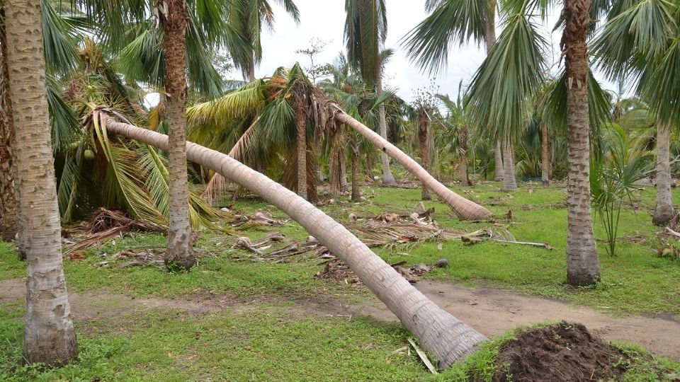 La temporada de ciclones continúa en México hasta noviembre.