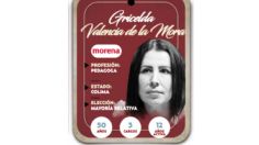 ¿Quién es Gricelda Valencia de la Mora, conoce a la próxima diputada?