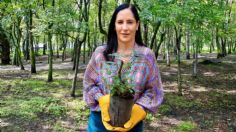 Lía Limón encabeza cuarta jornada de reforestación