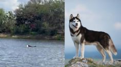 VIDEO: adolescente muere ahogado en presa; captan a su perro buscándolo