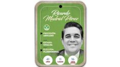 ¿Quién es Ricardo Madrid Pérez? Diputado por vía plurinominal del PVEM