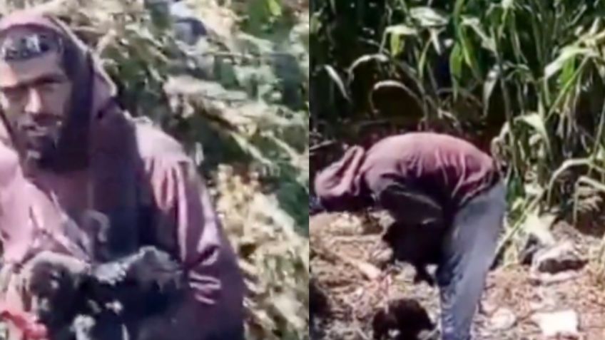 Exponen en redes sociales a hombre que presuntamente quema vivos a perritos en Edomex