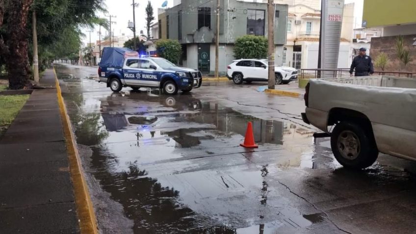 Tormenta en Tepic deja 12 árboles caídos y daños a semáforos, no hay inundaciones