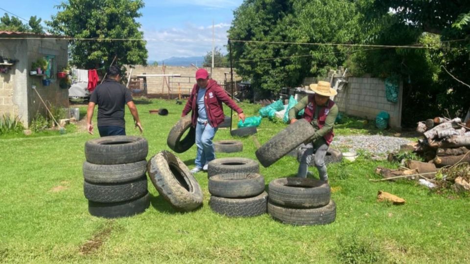 Acciones para combatir el dengue en Puebla