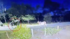 Captan en VIDEO a una extraña figura arriba de un caballo, dicen que podrías un jinete fantasma