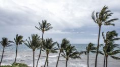 Tormenta tropical Aletta: ¿Cuál será su trayectoria y cuándo se alejará de México?