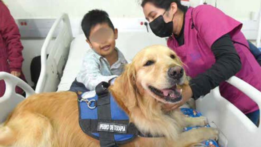 Perritos dan apoyo a los niños en Hospital Pediátrico de Coyoacán