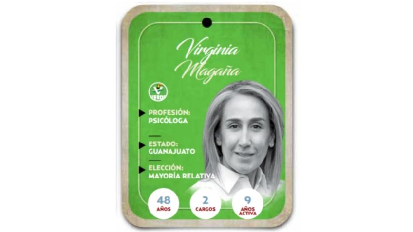 Conoce a Virginia Magaña, la próxima senadora del PVEM