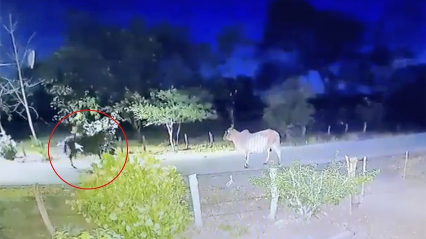 Captan en VIDEO a una extraña figura arriba de un caballo, dicen que podrías un jinete fantasma