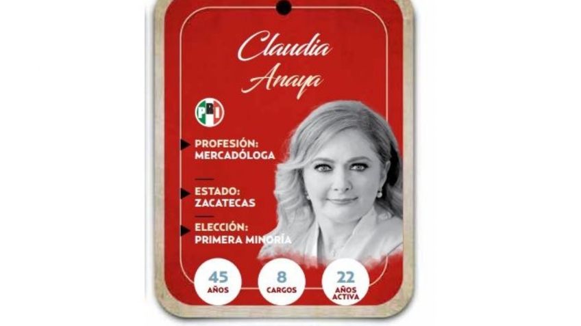 ¿Quién es Claudia Anaya, conoce a la próxima senadora?