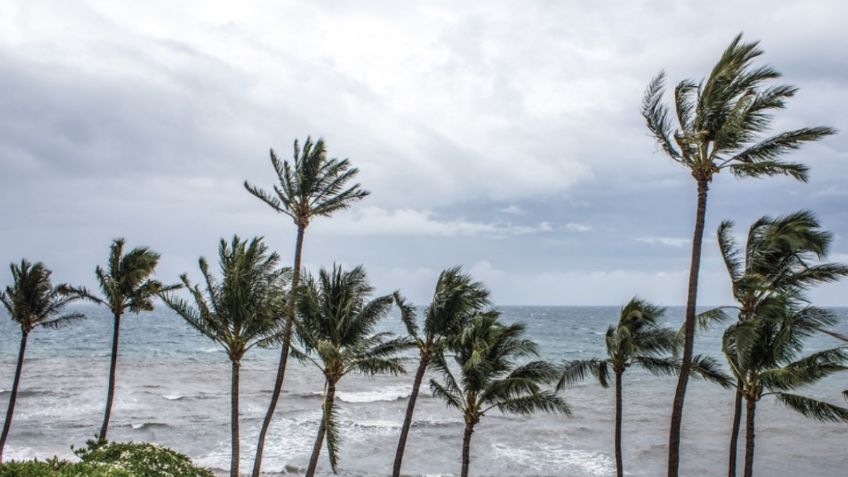 Tormenta tropical Aletta: ¿Cuál será su trayectoria y cuándo se alejará de México?