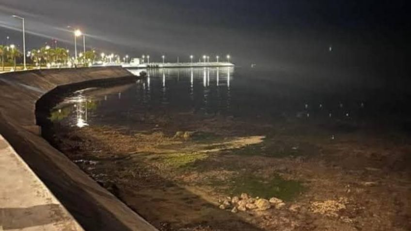 Huracán Beryl causa que el mar de Yucatán se aleje de la costa, ¿por qué pasa esto?