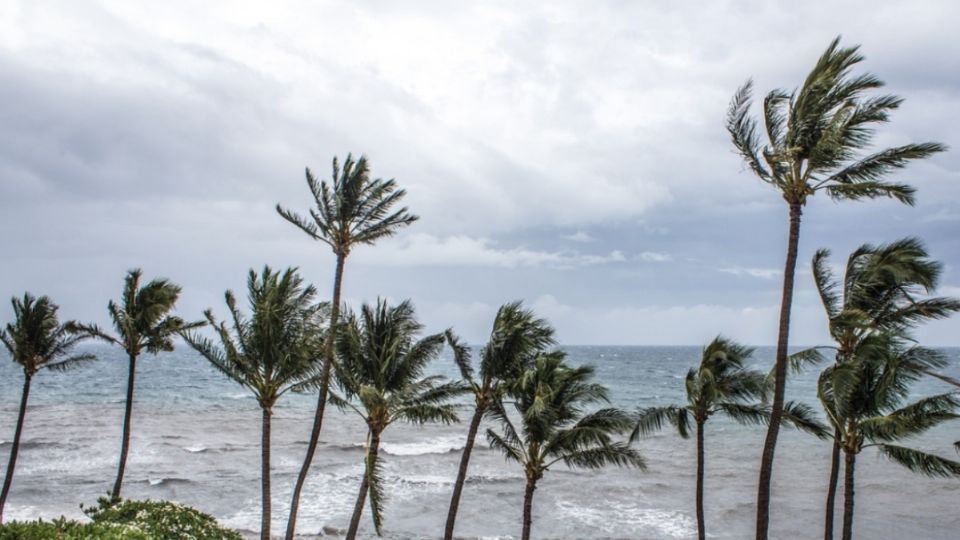 Al menos tres estados tendrán afectaciones por la tormenta tropical Aletta.