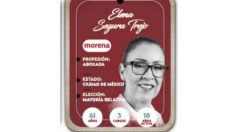 ¿Quién es Elena Segura Trejo, conoce a la próxima diputada?