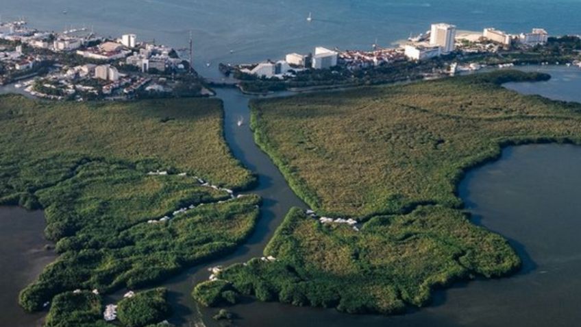 Así resguardaron decenas de yates para que no sufrieran daños por el huracán Beryl: IMÁGENES