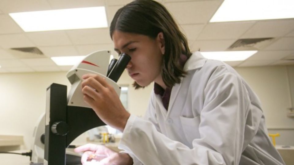 Sergio Alejandro Cruz, estudiante de la Universidad Autónoma de Nuevo León, competirá en la Olimpiada Internacional de Biología en Kazajistán.  