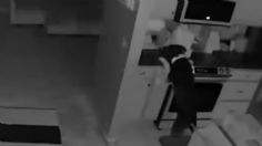 VIDEO: un perrito enciende la estufa e inicia un incendio en la cocina mientras todos dormían