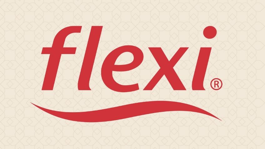 Flexi: filtran el verdadero motivo del cierre de su planta en Guanajuato