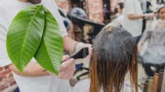 Tinte natural contra las canas: aprende a usar las hojas de nogal para oscurecer el cabello