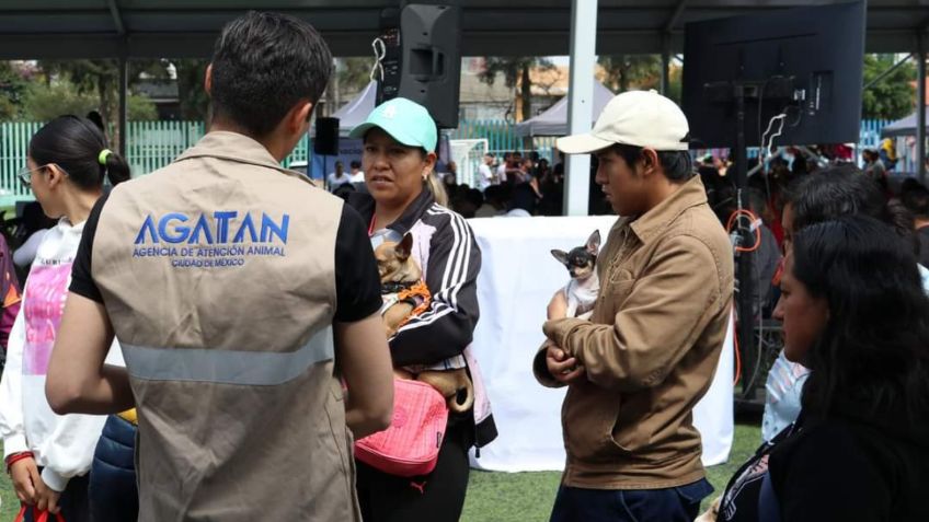 Agatan  celebra séptimo año con más de 164 mil esterilizaciones a animales de compañía