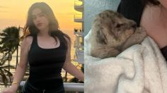 Emily Cinnamon, hija del Canelo Álvarez, presume exótica mascota, un cachorro de león, ¿es legal tenerlo en México?