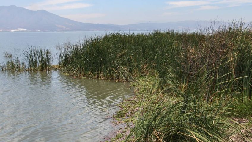 Tormenta tropical Aletta: ¿cómo va el nivel de agua en el lago de Chapala hoy, martes 9 de julio?