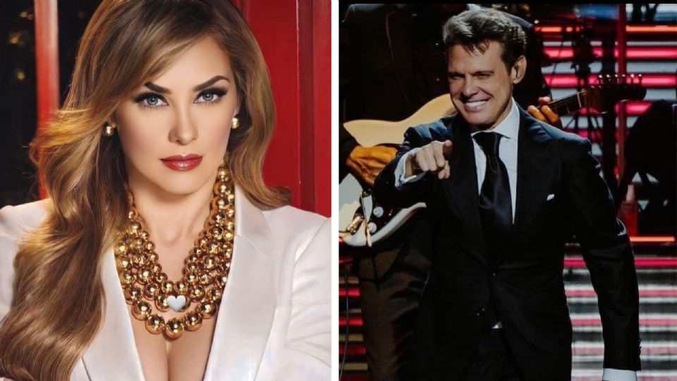 Aracely Arámbula le solicitó al productor de la obra, Omar Suárez, que invite a Luis Miguel a cantar.