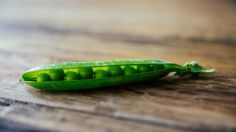 ¿Cómo sembrar guisantes en casa? Sencillo truco sin semilla