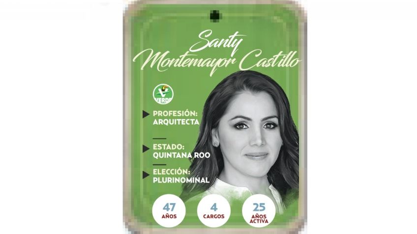 ¿Quién es Santy Montemayor Castillo? Próxima diputada del PVEM por la vía Plurinominal