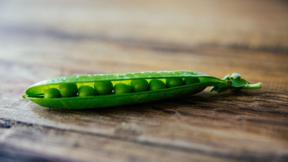 Los guisantes son ideales para plantar en agosto y cosechar antes de navidad