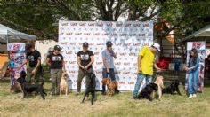 Universidad Autónoma de Tamaulipas abre convocatoria para adopción de perros héroes retirados