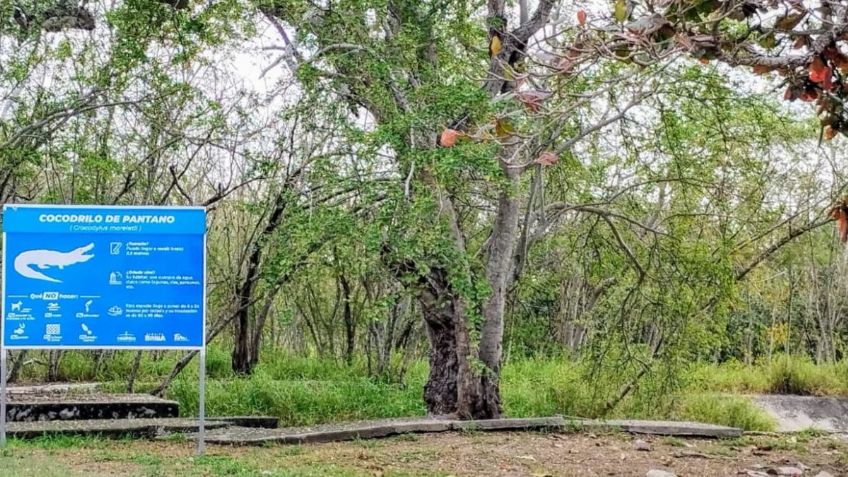 Tampico: un presunto exhibicionista está en la mira de la Guardia Estatal, refuerzan la seguridad para detenerlo