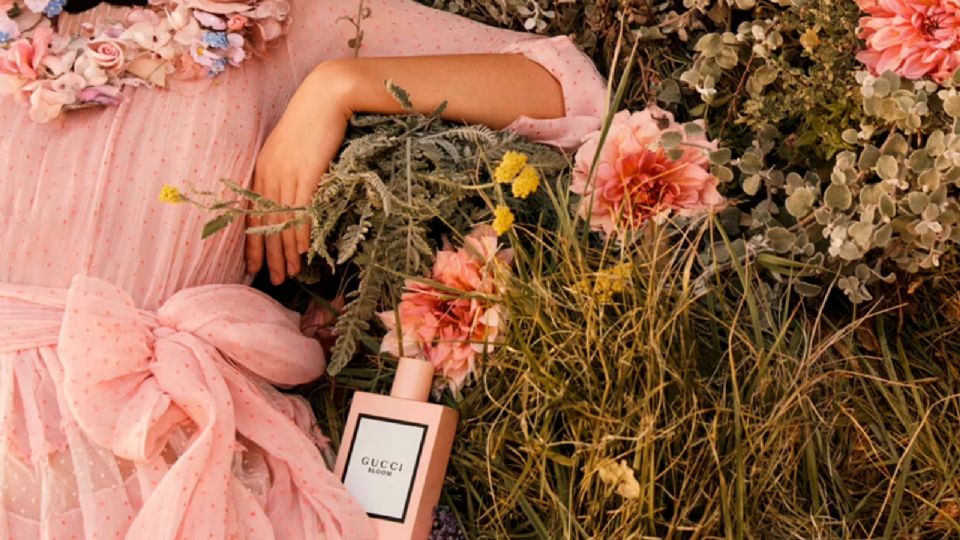 La clasificación de los perfumes permite conocer sus particulares más significativas.