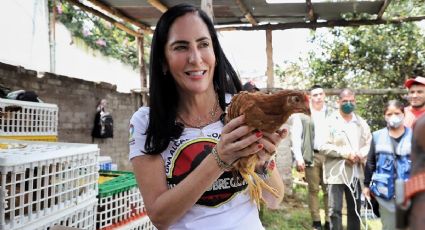 Lía Limón entrega mil 800 gallinas ponedoras a 180 familias de Álvaro Obregón