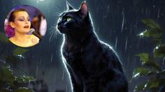 La historia detrás de 'La Gata Bajo La Lluvia', icónica canción de Rocío Dúrcal