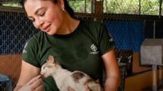 Veterinaria mexicana acudió a Vietnam para salvar a gatos de una "granja de producción" para consumo humano