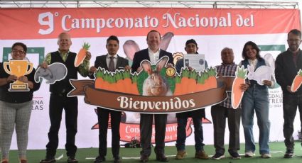 Se inaugura el 9° Campeonato Nacional del Conejo Gigante de Flandes en La Magdalena Contreras