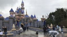 Tragedia en Disneyland: intentan desestimar homicidio porque la pareja de la víctima se suscribió a su streaming